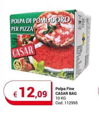 Centro Cash Polpa Fine CASAR BAG 10 KG offerta