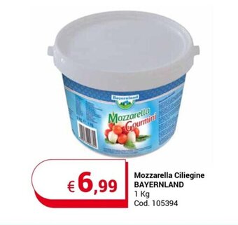 Centro Cash Mozzarella Ciliegine BAYERNLAND 1 kg offerta