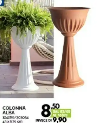 Orizzonte Alba Colonna offerta