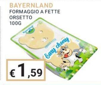 Eté BAYERNLAND FORMAGGIO A FETTE ORSETTO 100G offerta