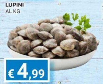 Eté LUPINI AL KG offerta