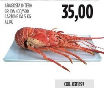 ARAGOSTA INTERA CRUDA 400/500 CARTONE DA 5 KG AL KG