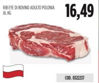 Carico Cash & Carry RIB EYE DI BOVINO ADULTO POLONIA AL KG offerta