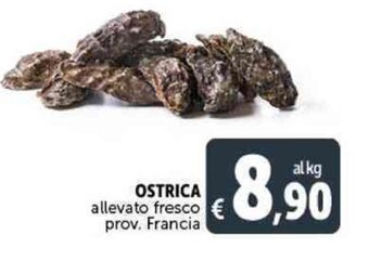 Deco Supermercati OSTRICA allevato fresco offerta