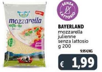 Deco Supermercati BAYERLAND mozzarella julienne senza lattosio g 200 offerta