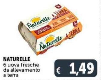 Deco Supermercati NATURELLE 6 uova fresche da allevamento a terra offerta