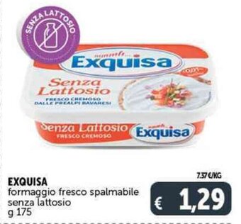 Deco Supermercati EXQUISA formaggio fresco spalmabile senza lattosio g 175 offerta