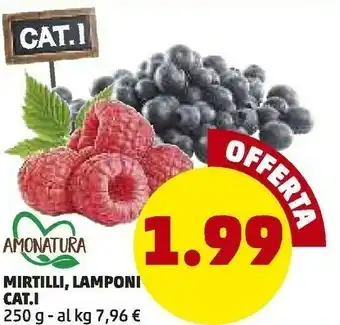 PENNY Amonatura Mirtilli/ Lamponi offerta