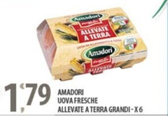 Sisa AMADORI UOVA FRESCHE ALLEVATE A TERRA GRANDI-X6 offerta