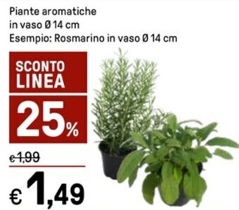 Iper La Grande Piante aromatiche offerta