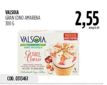 Carico Cash & Carry VALSOIA GRAN CONO AMARENA 300 G offerta