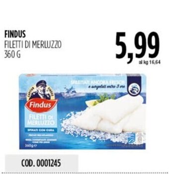 Carico Cash & Carry FINDUS FILETTI DI MERLUZZO 360 G offerta