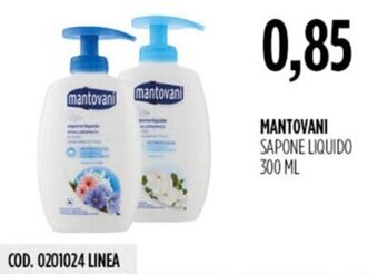 Carico Cash & Carry MANTOVANI SAPONE LIQUIDO 300 ML offerta