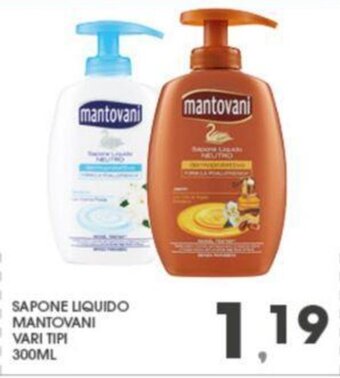 Eurospar SAPONE LIQUIDO MANTOVANI VARI TIPI 300ML offerta