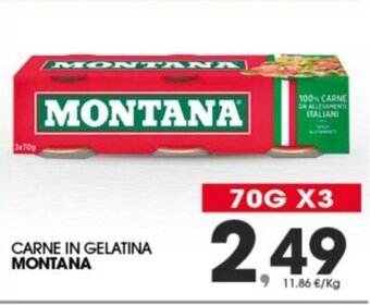 Eurospar CARNE IN GELATINA MONTANA 70 G X 3 offerta