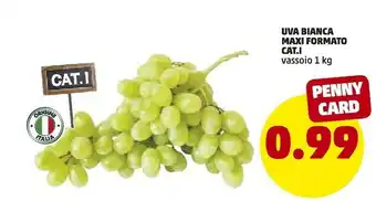 PENNY Uva Bianca Maxi Formato offerta