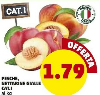 PENNY Cat.i Pesche Nettarine Gialle offerta