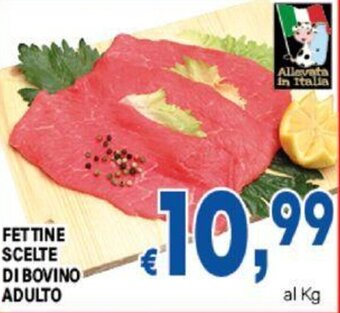 DEM FETTINE SCELTE DI BOVINO ADULTO offerta
