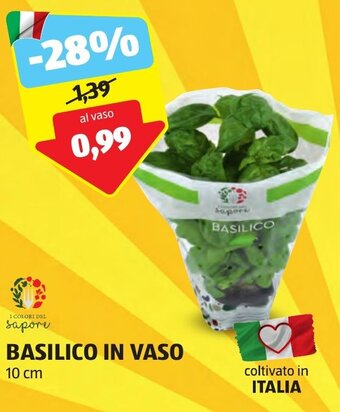 ALDI BASILICO IN VASO 10 cm offerta