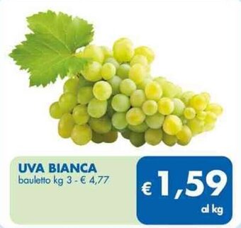 UVA BIANCA bauletto kg 3