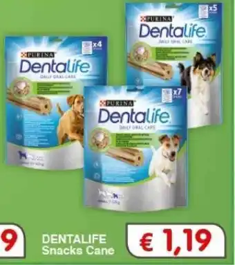 Casa & Co Dentalife Snacks Cane offerta