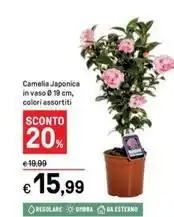 Famila Superstore Sottilette light offerta