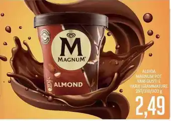 Supermercati Piccolo Algida Magnum Pot 297/310/303g offerta