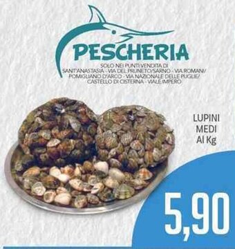 Supermercati Piccolo Lupini Medi offerta
