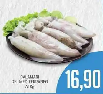 Supermercati Piccolo Calamari del Mediterraneo offerta