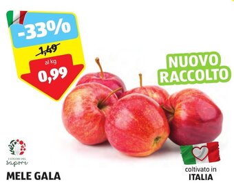 ALDI MELE GALA offerta
