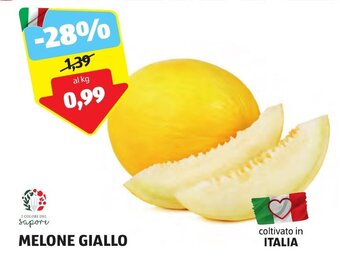ALDI MELONE GIALLO offerta