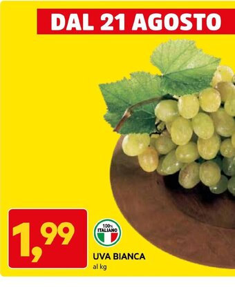 DPiù UVA BIANCA al kg offerta