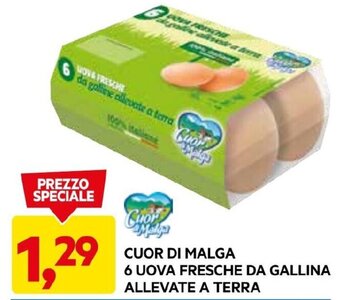 DPiù CUOR DI MALGA 6 UOVA FRESCHE DA GALLINA ALLEVATE A TERRA offerta