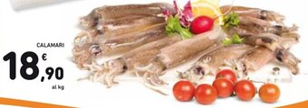 Spazio Conad CALAMARI offerta
