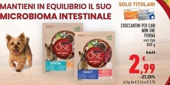 Conad Superstore Purina croccantini per cani mini one offerta