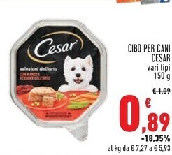 Conad Superstore Cesar cibo per cani offerta