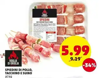 PENNY Spiedini Di Pollo Tacchino E Suino offerta