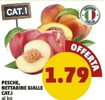 PENNY Cat.i Pesche Nettarine Gialle offerta
