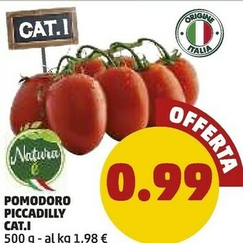 PENNY Natura E Pomodoro Piccadilly offerta