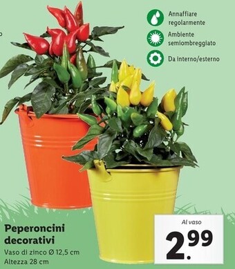Lidl Peperoncini decorativi offerta