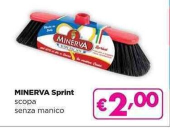 Acqua & Sapone MINERVA Sprint scopa senza manico offerta