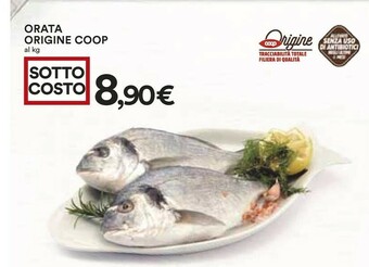 Coop Orata offerta