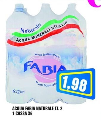 Punto Vigas ACQUA FABIA NATURALE LT. 2 1 CASSA X6 offerta