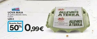 Coop Maia Uova offerta