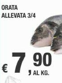 Crai Orata offerta