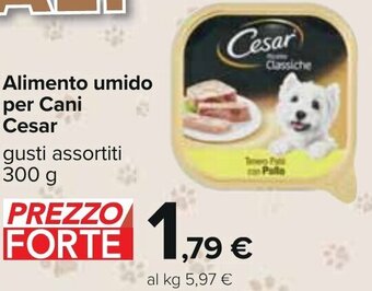 Carrefour Alimento umido per Cani Cesar gusti assortiti 300 g offerta