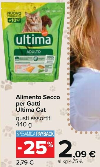 Carrefour Alimento Secco per Gatti Ultima Cat gusti assortiti 440 g offerta