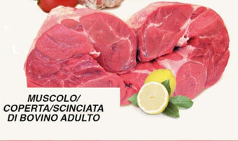 Gecop MUSCOLO/ COPERTA/SCINCIATA DI BOVINO ADULTO offerta