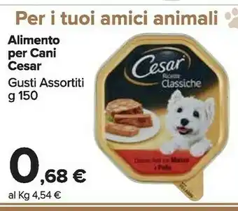 Carrefour Market Cesar Cibo per cani offerta