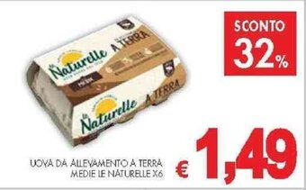 PrestoFresco UOVA DA ALLEVAMENTO A TERRA MEDIE LE NATURELLE X6 offerta